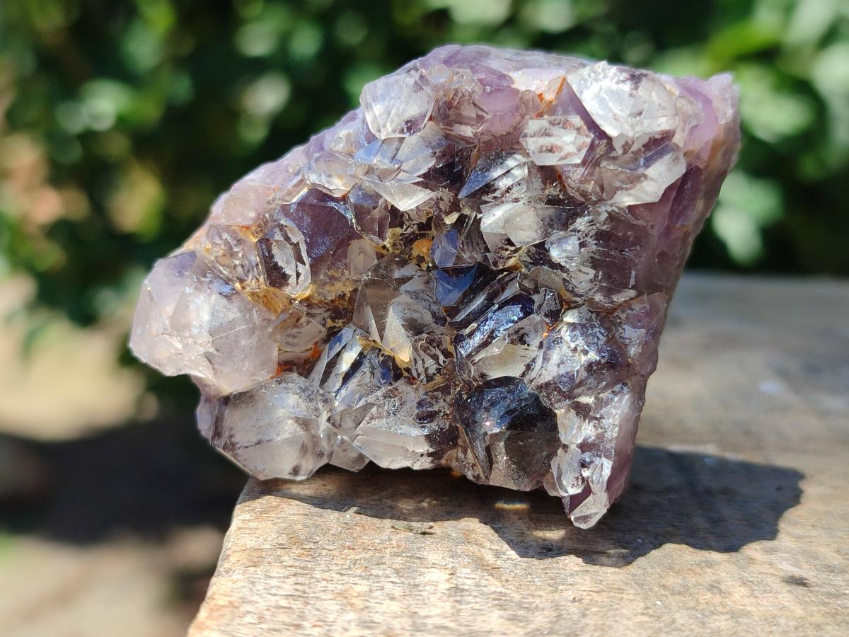 Natural Rare Amethyst Asylum Quartz Clusters x 12 From Luena, Congo