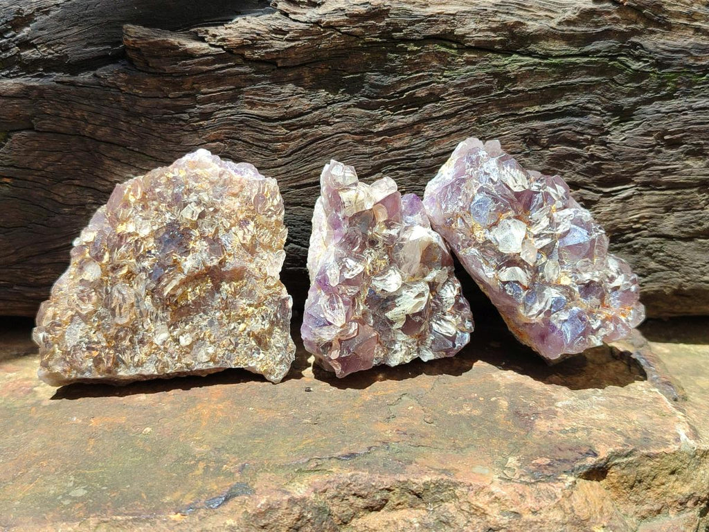 Natural Rare Amethyst Asylum Quartz Clusters x 12 From Luena, Congo
