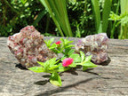 Natural Rare Amethyst Asylum Quartz Clusters x 12 From Luena, Congo