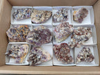 Natural Rare Amethyst Asylum Quartz Clusters x 12 From Luena, Congo