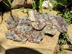 Natural Rare Amethyst Asylum Quartz Clusters x 12 From Luena, Congo