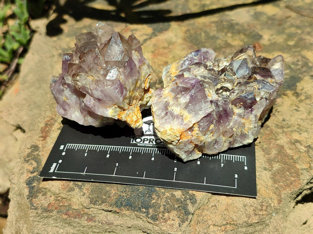 Natural Rare Amethyst Asylum Quartz Clusters x 12 From Luena, Congo