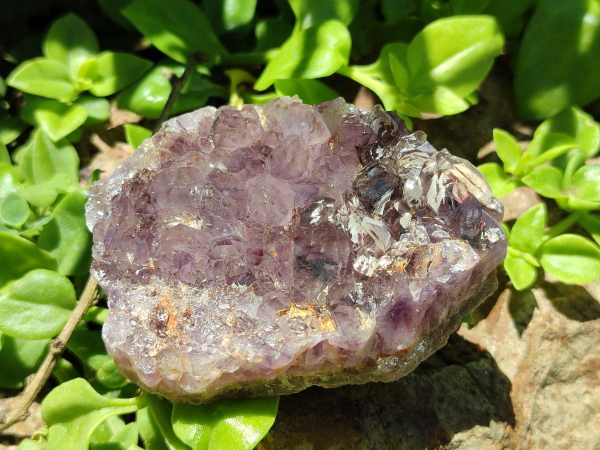 Natural Rare Amethyst Asylum Quartz Clusters x 12 From Luena, Congo