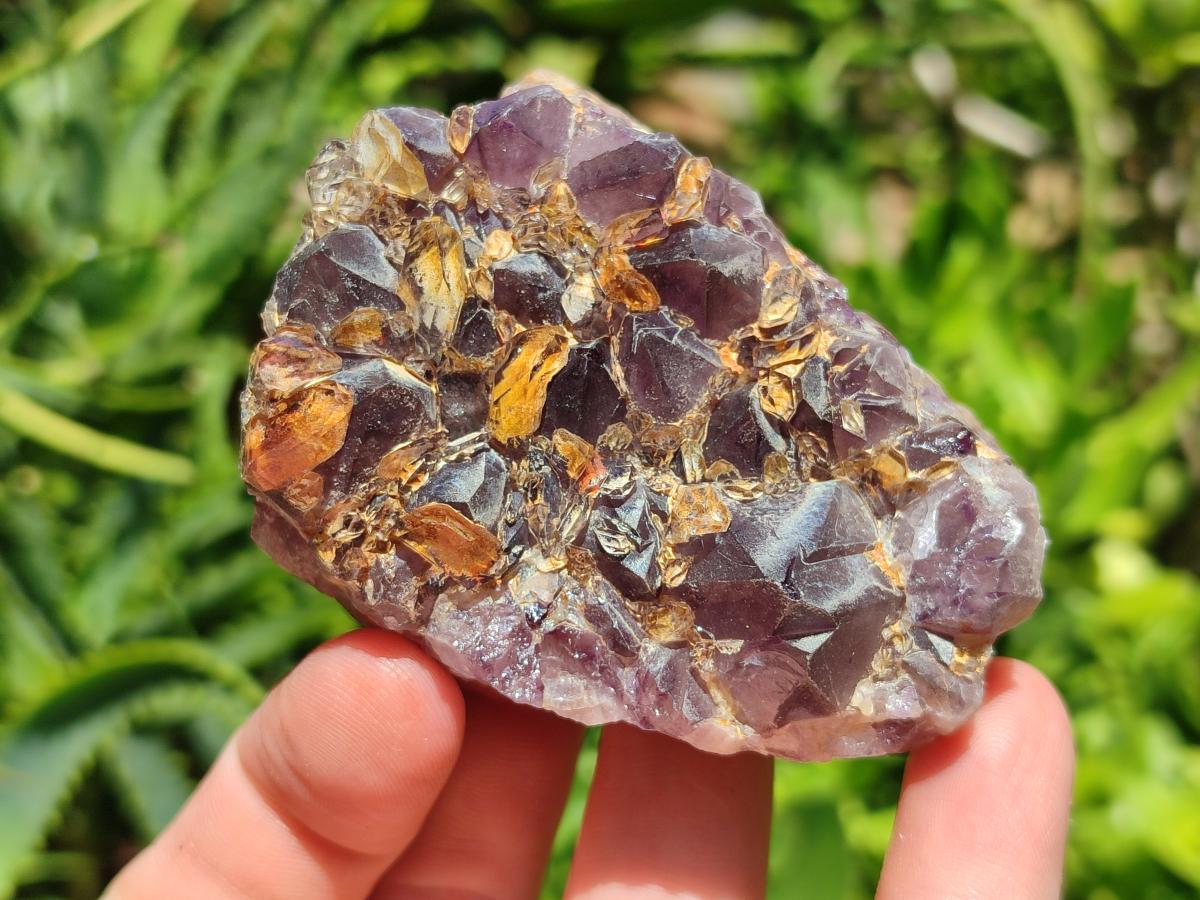 Natural Rare Amethyst Asylum Quartz Clusters x 12 From Luena, Congo