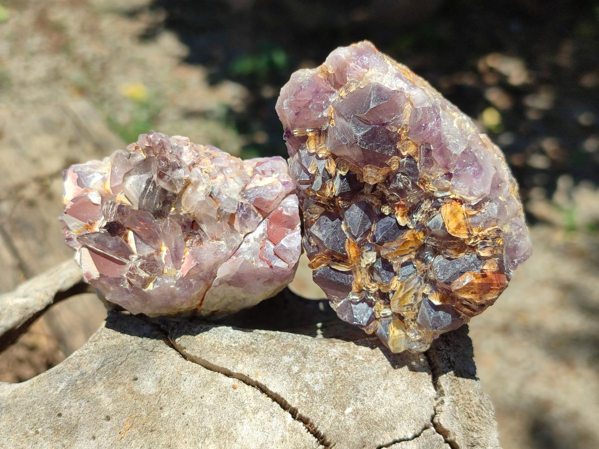 Natural Rare Amethyst Asylum Quartz Clusters x 12 From Luena, Congo