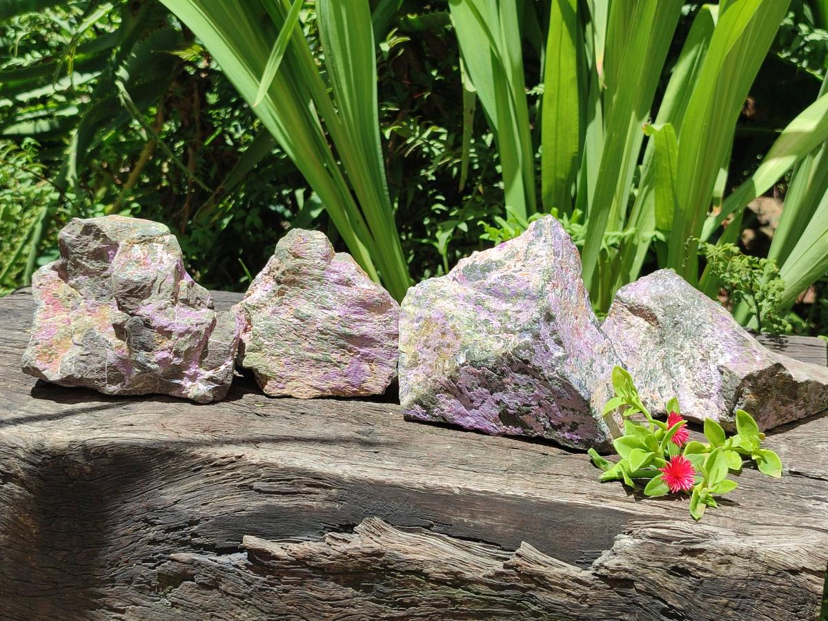 Natural Stichtite Cobbed Specimens x 4 From Barberton, South Africa