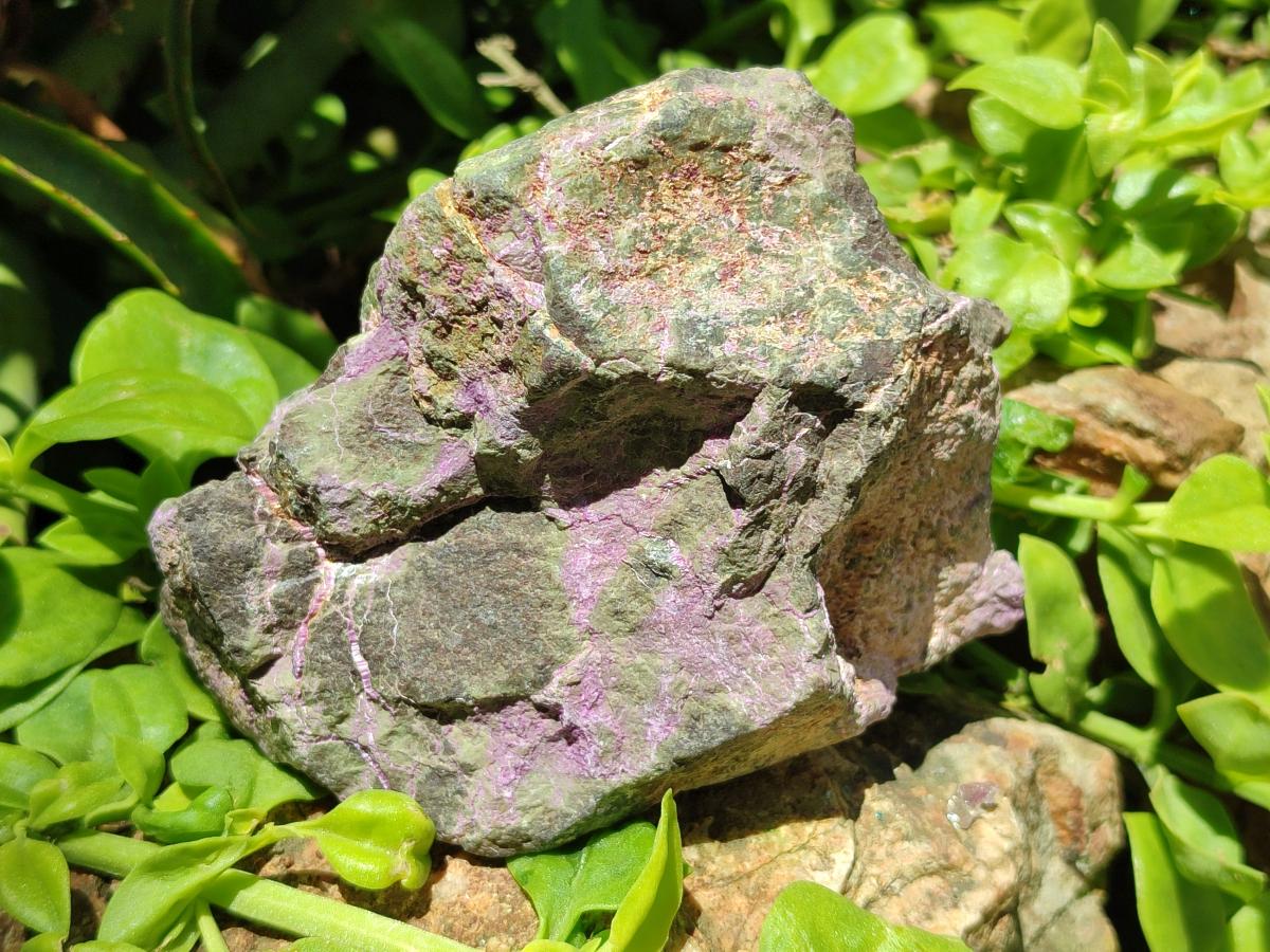 Natural Stichtite Cobbed Specimens x 4 From Barberton, South Africa
