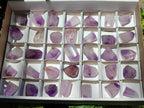 Polished Window Amethyst Crystals x 35 From Akansobe, Madagascar