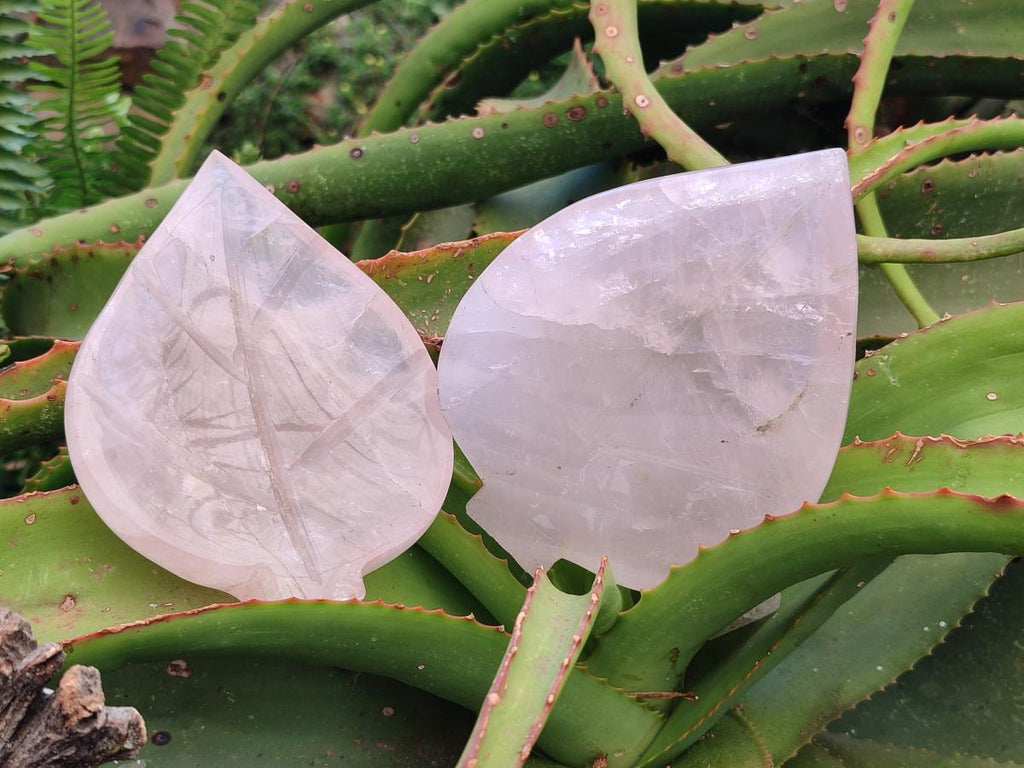 Hand Made Gemmy Rose Quartz Leaf Bowl Carvings x 5 From Madagascar