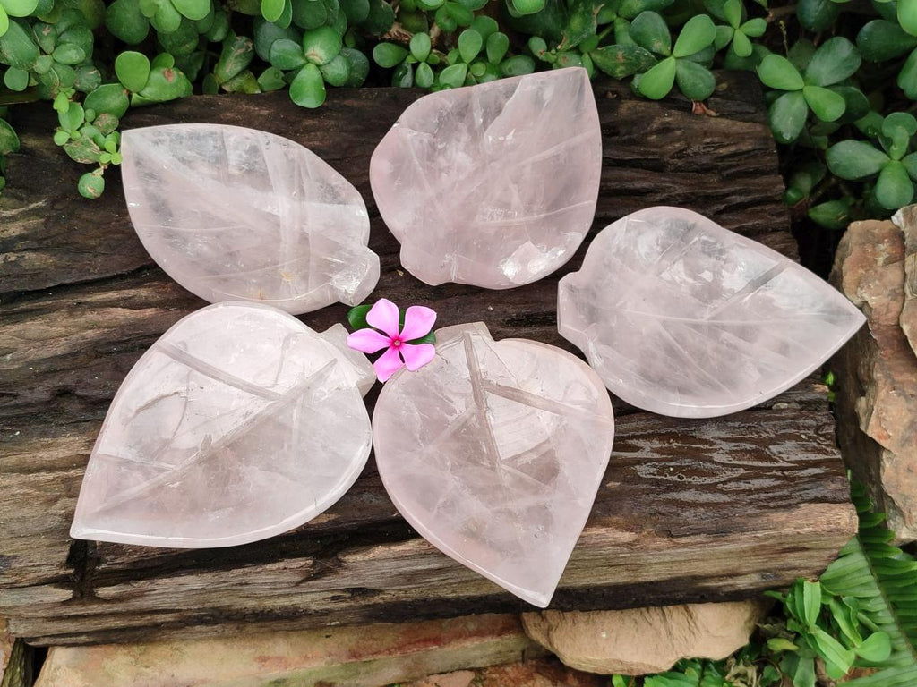 Hand Made Gemmy Rose Quartz Leaf Bowl Carvings x 5 From Madagascar