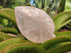 Hand Made Gemmy Rose Quartz Leaf Bowl Carvings x 5 From Madagascar