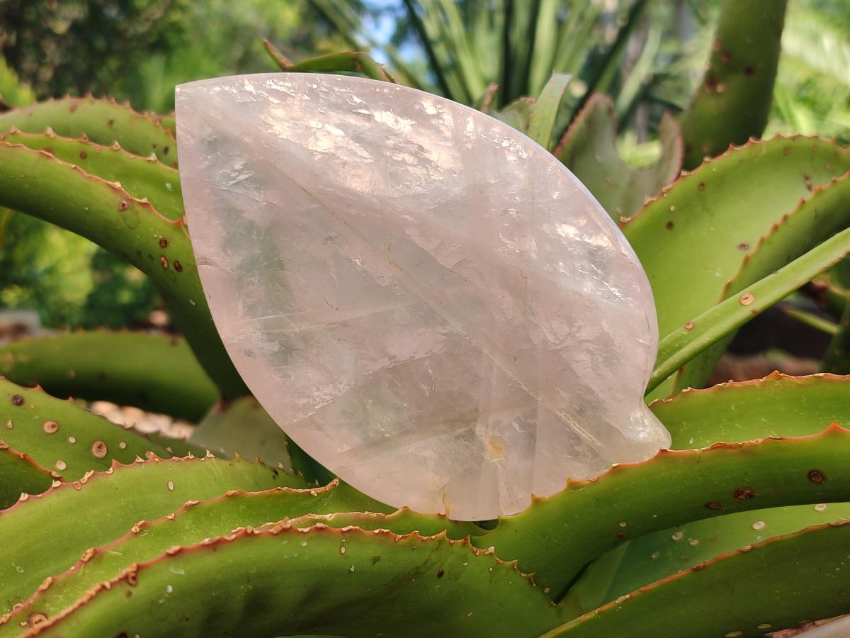 Hand Made Gemmy Rose Quartz Leaf Bowl Carvings x 5 From Madagascar