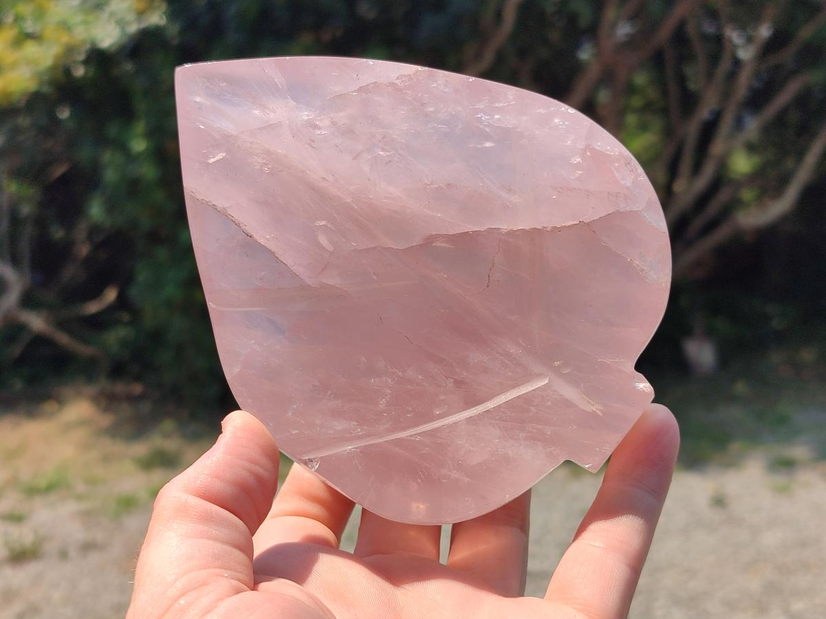 Hand Made Gemmy Rose Quartz Leaf Bowl Carvings x 5 From Madagascar