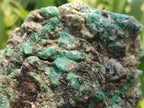 Natural Emerald Mica 'Mutokolite' Cobbed Specimens x 5 From Mutoko, Zimbabwe