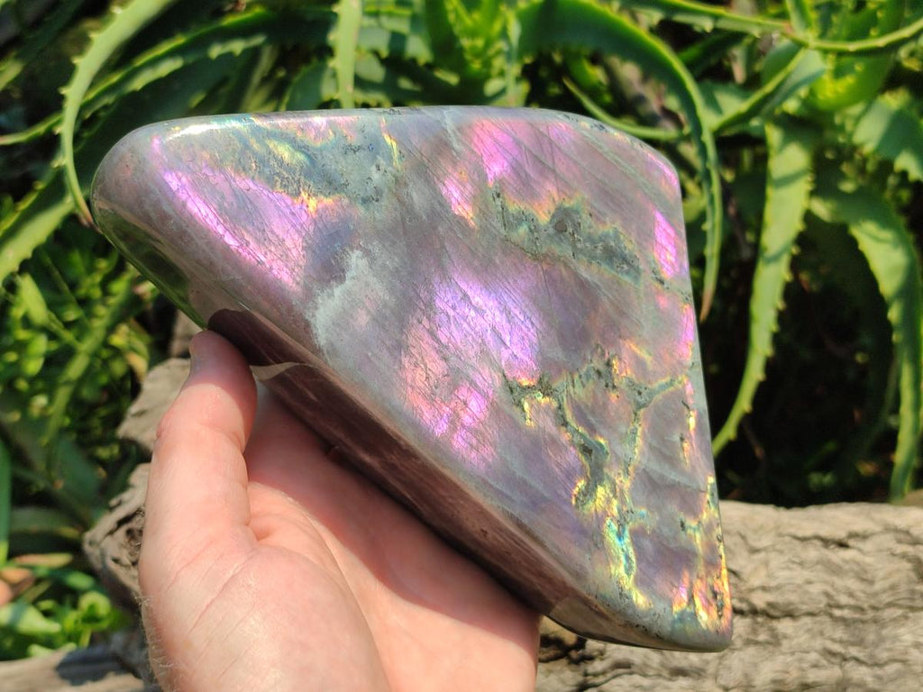 Polished Large Rare Purple Sunset Flash Labradorite Standing Free Form x 1 From Madagascar