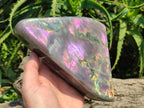 Polished Large Rare Purple Sunset Flash Labradorite Standing Free Form x 1 From Madagascar