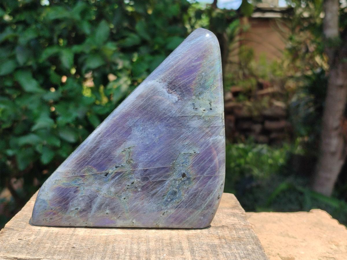 Polished Large Rare Purple Sunset Flash Labradorite Standing Free Form x 1 From Madagascar