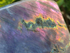 Polished Large Rare Purple Sunset Flash Labradorite Standing Free Form x 1 From Madagascar