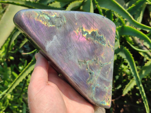 Polished Large Rare Purple Sunset Flash Labradorite Standing Free Form x 1 From Madagascar