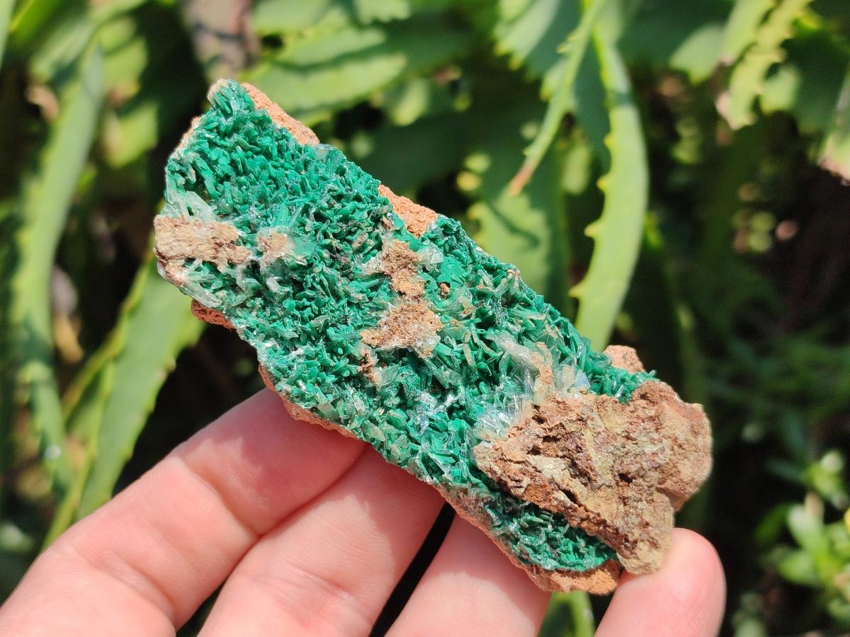 Natural Rare Bladed Barite with Malachite Specimens x 6 From Shinkolobwe Mine, Congo