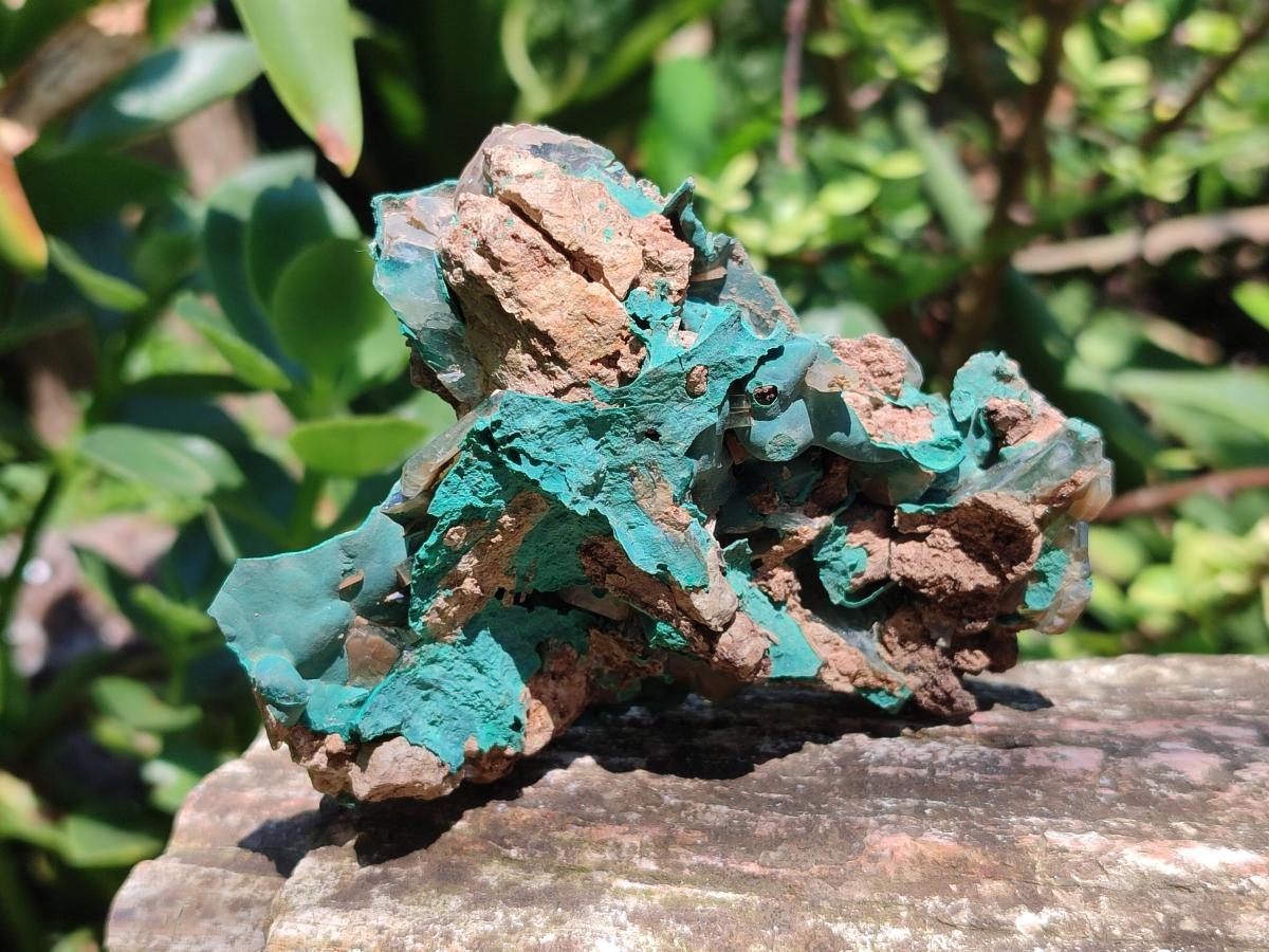 Natural Rare Bladed Barite with Malachite Specimens x 6 From Shinkolobwe Mine, Congo