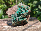 Natural Rare Bladed Barite with Malachite Specimens x 6 From Shinkolobwe Mine, Congo