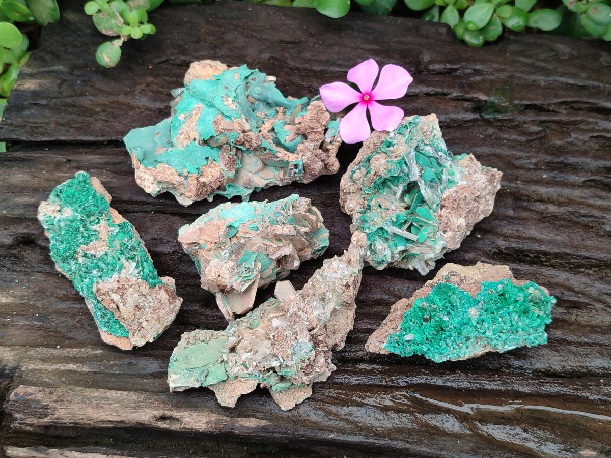 Natural Rare Bladed Barite with Malachite Specimens x 6 From Shinkolobwe Mine, Congo