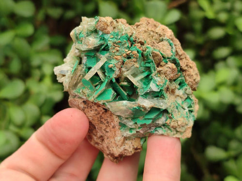 Natural Rare Bladed Barite with Malachite Specimens x 6 From Shinkolobwe Mine, Congo