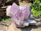 Natural Large Jacaranda Amethyst Crystal Cluster x 1 From Mumbwa, Zambia