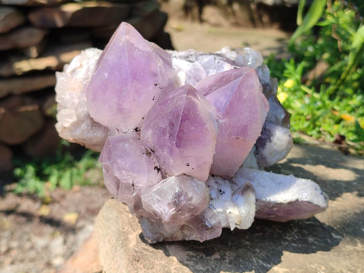 Natural Large Jacaranda Amethyst Crystal Cluster x 1 From Mumbwa, Zambia