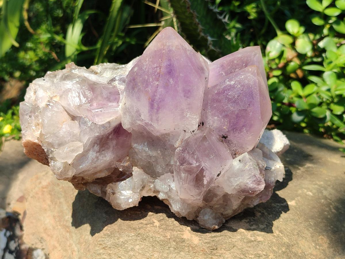 Natural Large Jacaranda Amethyst Crystal Cluster x 1 From Mumbwa, Zambia