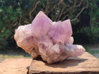 Natural Large Jacaranda Amethyst Crystal Cluster x 1 From Mumbwa, Zambia