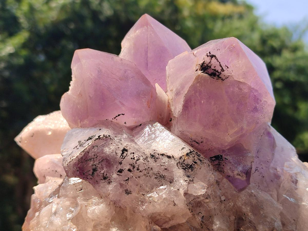 Natural Large Jacaranda Amethyst Crystal Cluster x 1 From Mumbwa, Zambia