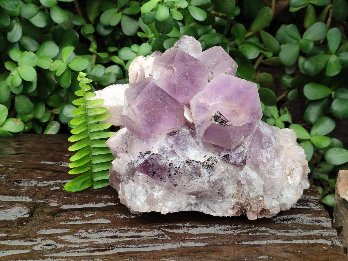 Natural Large Jacaranda Amethyst Crystal Cluster x 1 From Mumbwa, Zambia