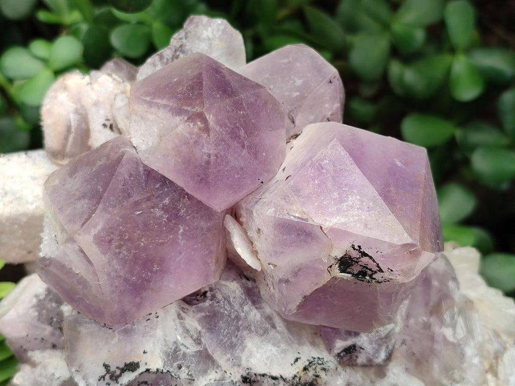 Natural Large Jacaranda Amethyst Crystal Cluster x 1 From Mumbwa, Zambia