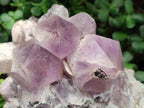 Natural Large Jacaranda Amethyst Crystal Cluster x 1 From Mumbwa, Zambia