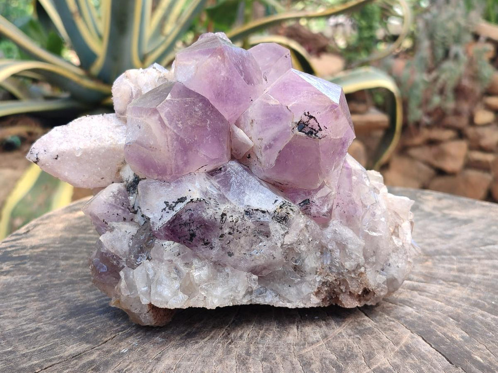 Natural Large Jacaranda Amethyst Crystal Cluster x 1 From Mumbwa, Zambia