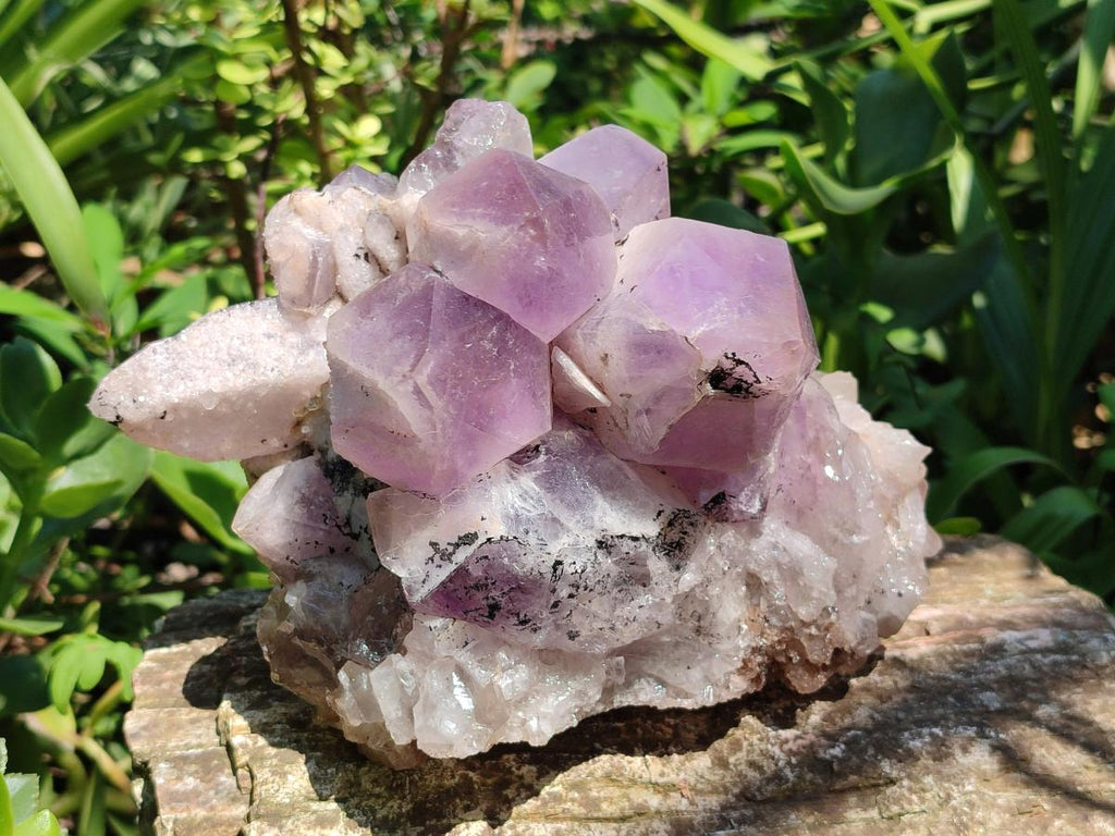 Natural Large Jacaranda Amethyst Crystal Cluster x 1 From Mumbwa, Zambia