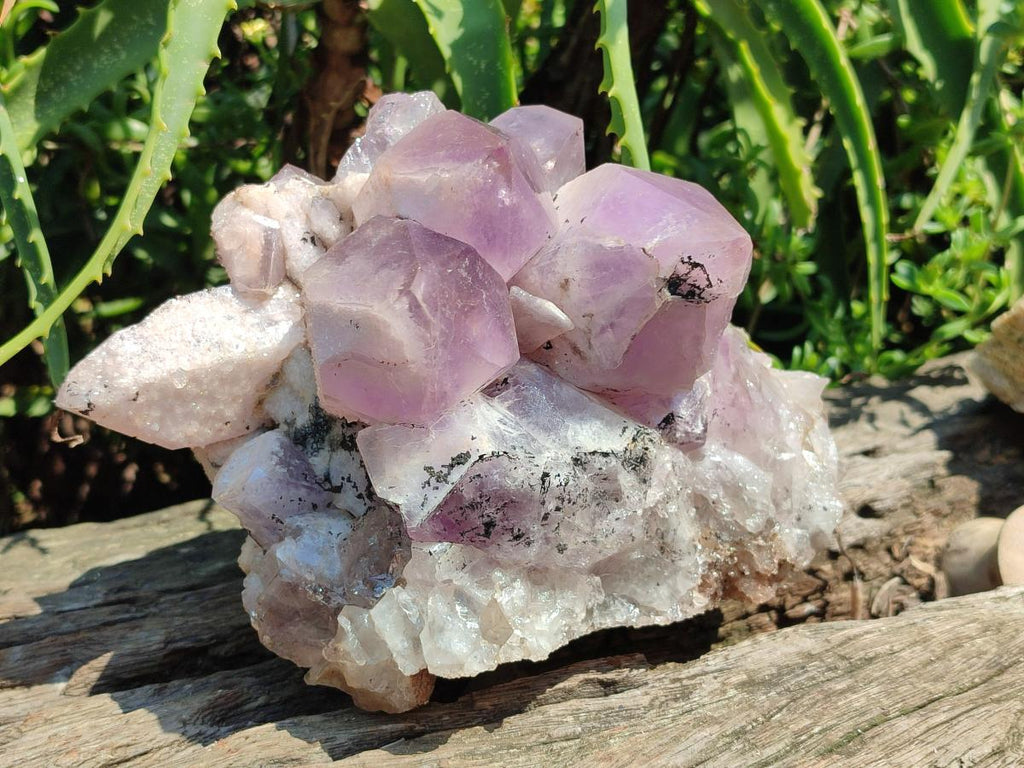 Natural Large Jacaranda Amethyst Crystal Cluster x 1 From Mumbwa, Zambia