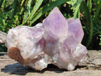Natural Large Jacaranda Amethyst Crystal Cluster x 1 From Mumbwa, Zambia