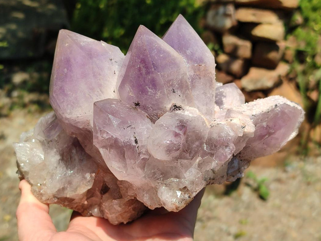 Natural Large Jacaranda Amethyst Crystal Cluster x 1 From Mumbwa, Zambia