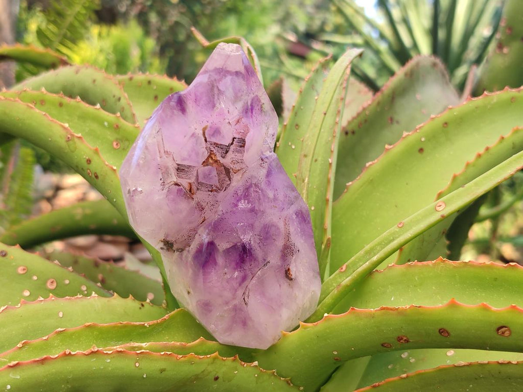 Polished Window Amethyst Crystals x 2 From Akansobe, Madagascar