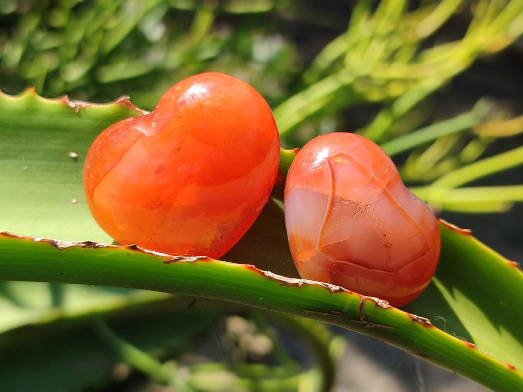 Polished Carnelian Agate Gemstone Hearts x 20 From Madagascar