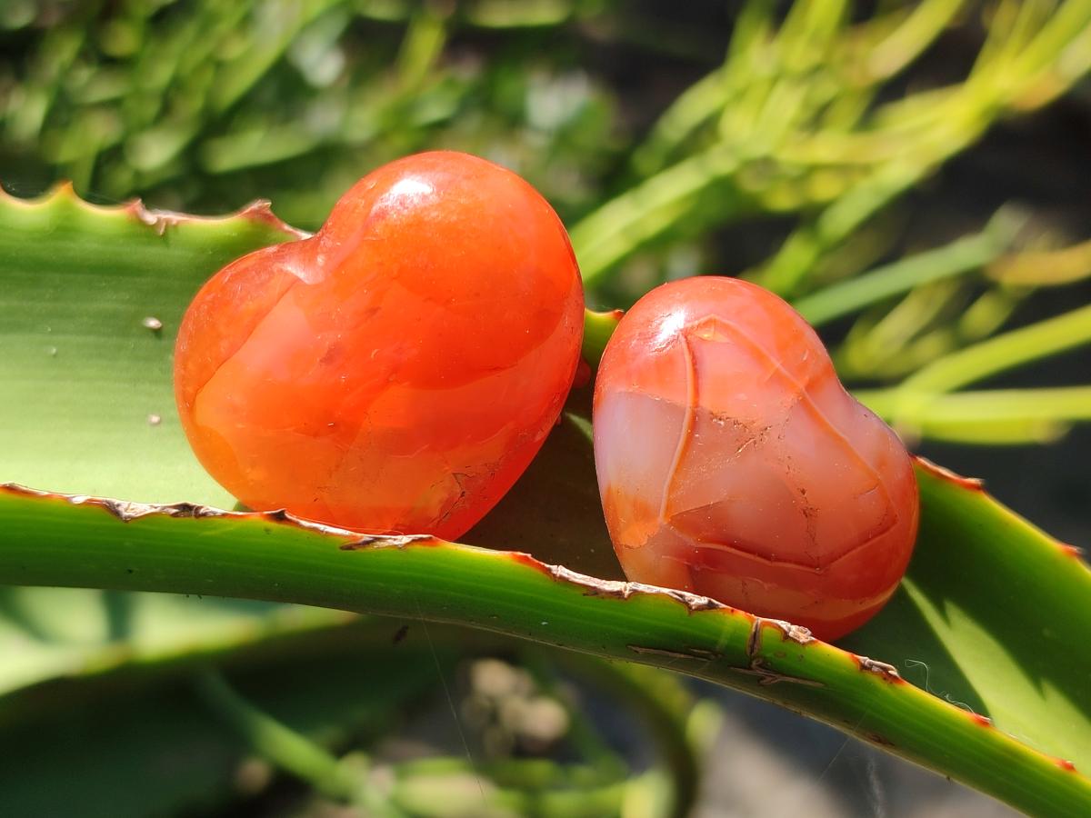 Polished Carnelian Agate Gemstone Hearts x 20 From Madagascar