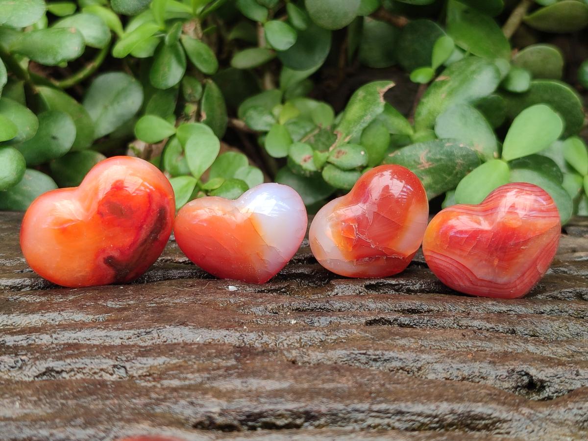 Polished Carnelian Agate Gemstone Hearts x 20 From Madagascar
