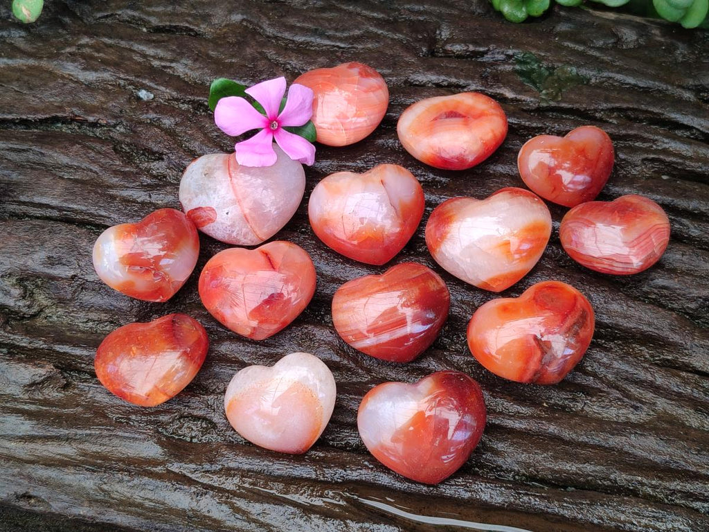 Polished Carnelian Agate Gemstone Hearts x 20 From Madagascar
