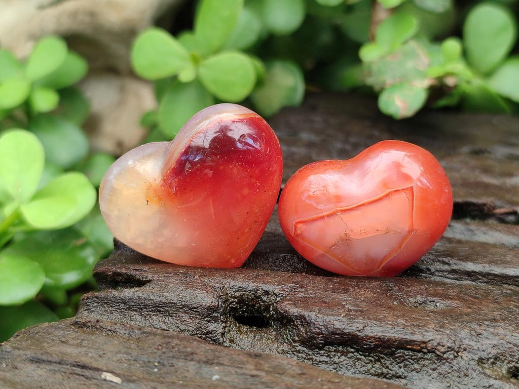 Polished Carnelian Agate Gemstone Hearts x 20 From Madagascar