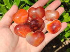 Polished Carnelian Agate Gemstone Hearts x 20 From Madagascar