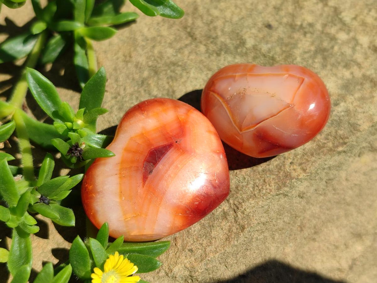 Polished Carnelian Agate Gemstone Hearts x 20 From Madagascar