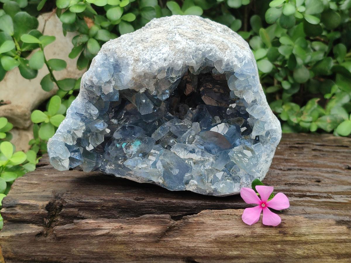 Natural Large Blue Celestite Geode Specimen x 1 From Sakoany, Madagascar